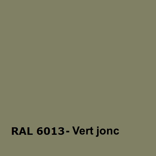 RAL 6013 - Vert Jonc